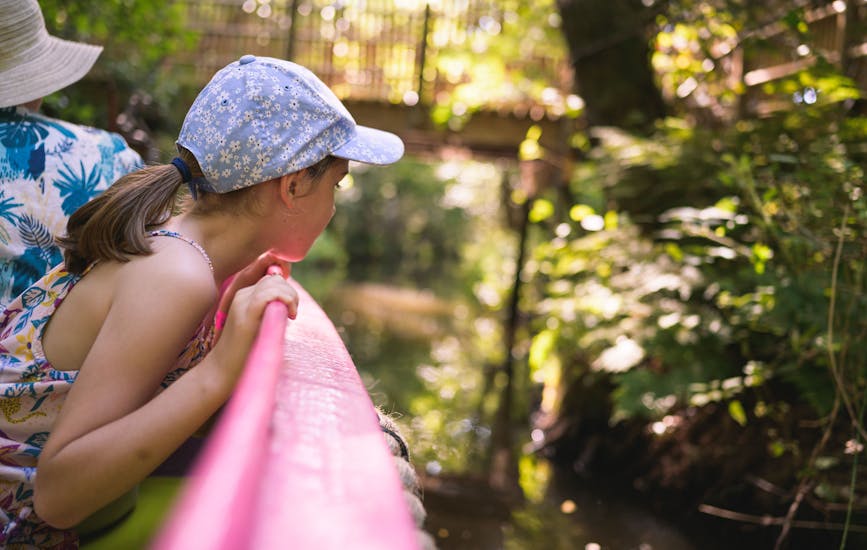 BeWILDerboat rides at BeWILDerwood Norfolk