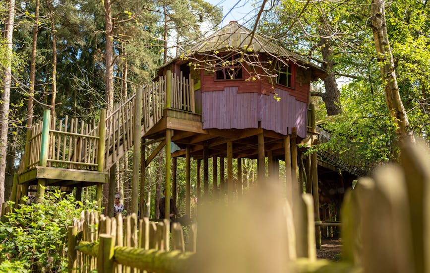 BeWILDerville, a purple and pink wooden treehouse, in BeWILDerwood Norfolk