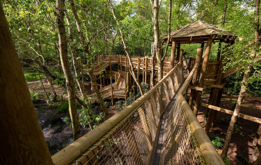 A wide shot of the Broken Bridge in BeWILDerwood Cheshire