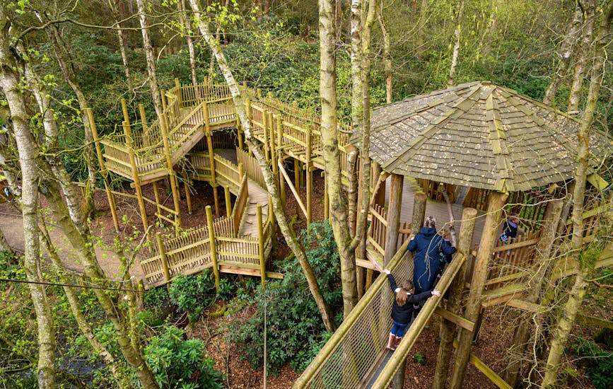 A family explore the Broken Bridge in BeWILDerwood Cheshire