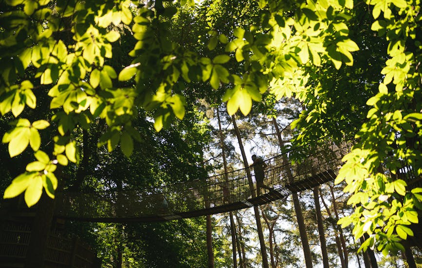 Leaves surround a person walking across the Broken Bridge at BeWILDerwood Norfolk