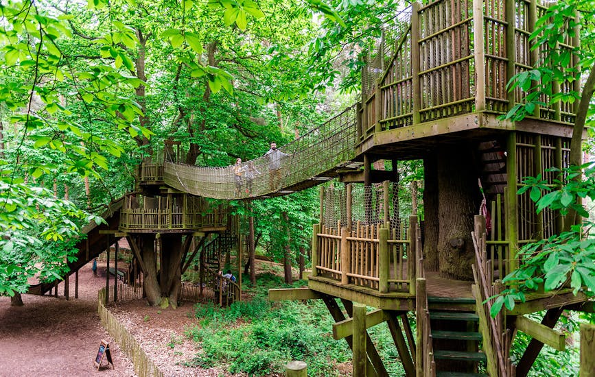A family walk across a bridge between two trees called the Broken Bridge at BeWILDerwood Norfolk