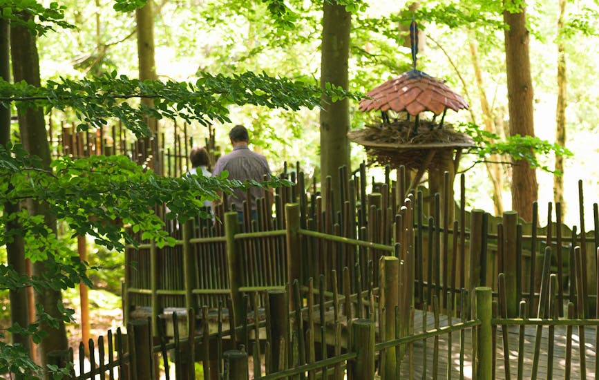The Sky Maze in BeWILDerwood Norfolk