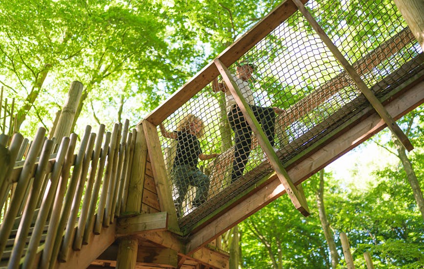 Two children climb across a netted bridge on the Towering Treetop Tangles