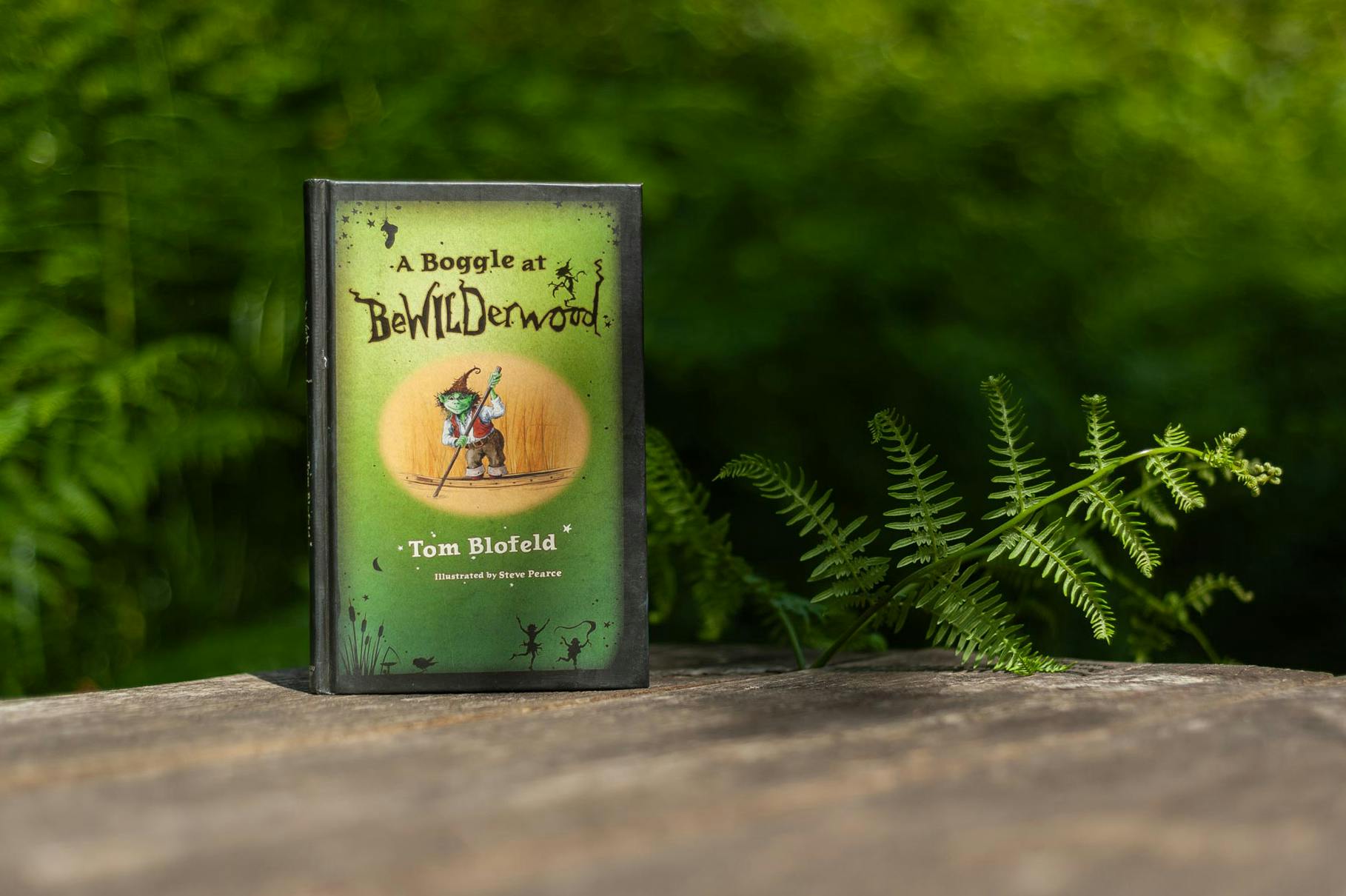 'A Boggle at BeWILDerwood' the book