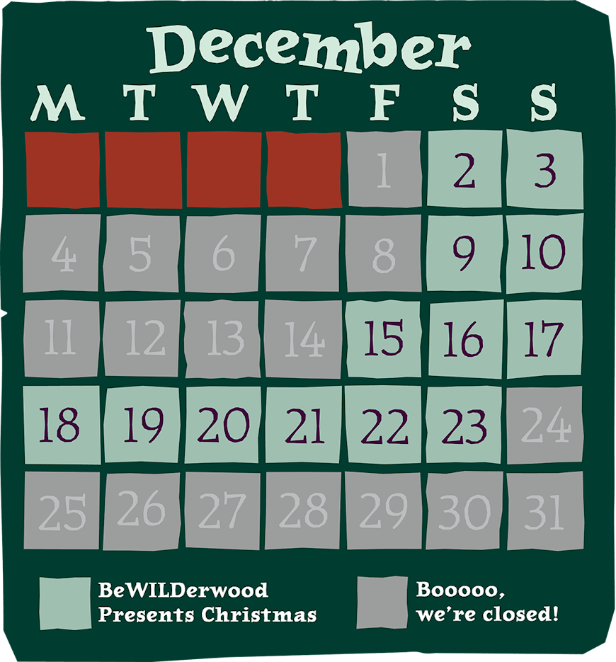 December opening dates at BeWILDerwood