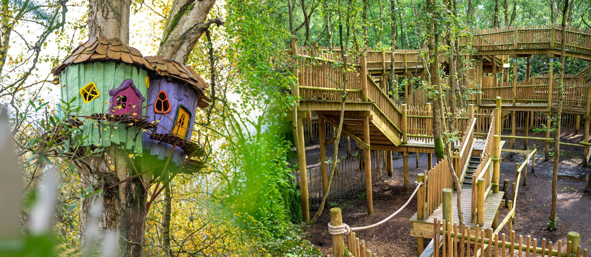 Colourful treehouses and a wooden play structure at BeWILDerwood