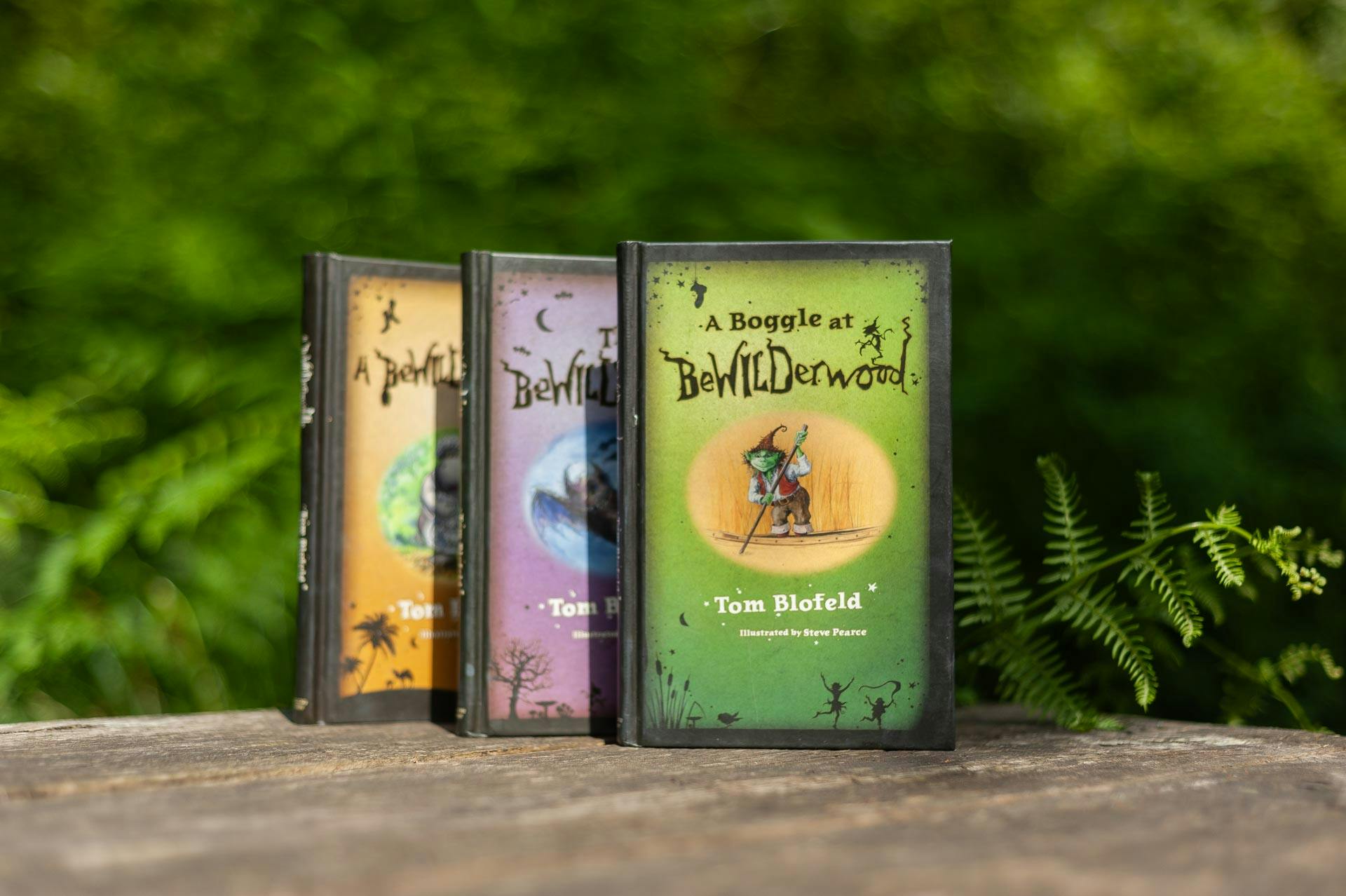 BeWILDerwood book bundle gift idea