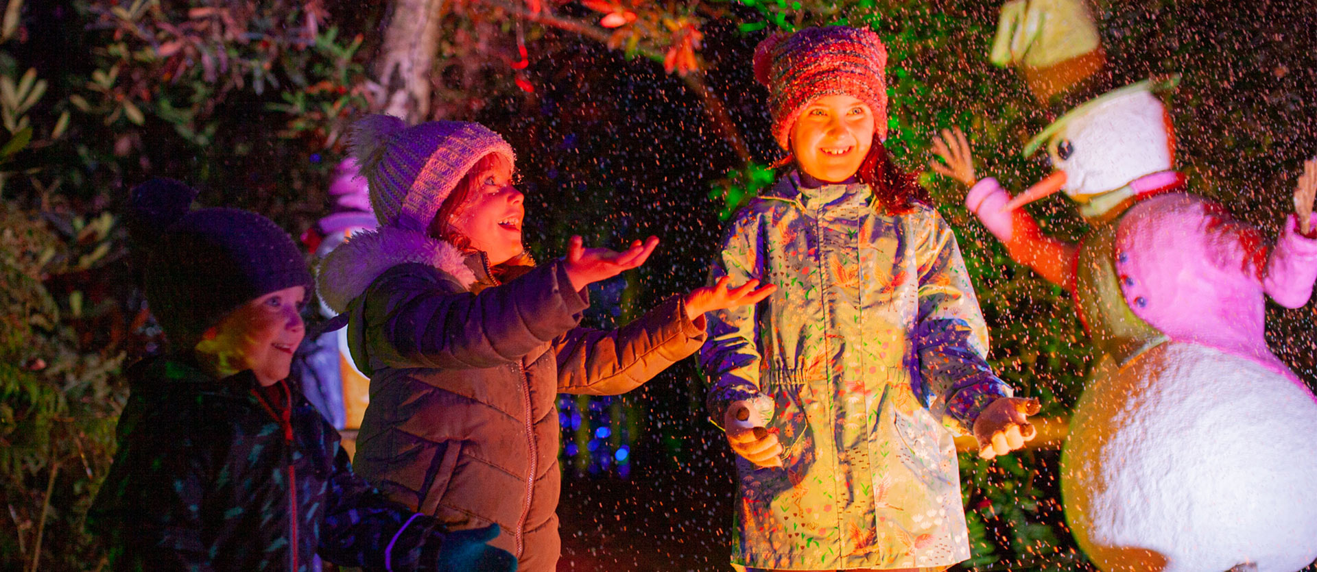 BeWILDerwood Presents Christmas FAQs
