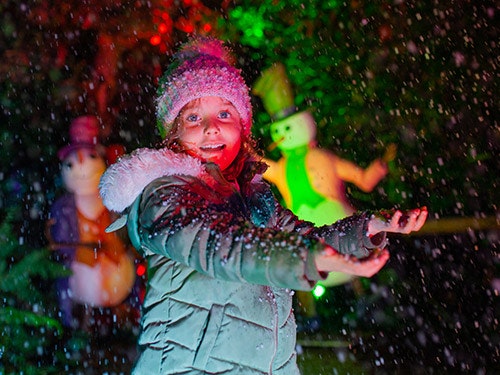 Top tips for BeWILDerwood's Christmas event