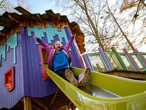 A child puts her hands up as she goes down a slide in Toddlewood on the Hill at BeWILDerwood