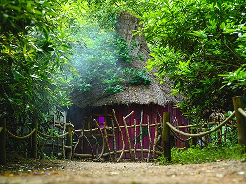 The Witch's House at BeWILDerwood Cheshire