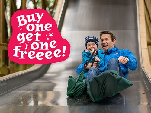 Buy one get one free at BeWILDerwood Cheshire this February half term