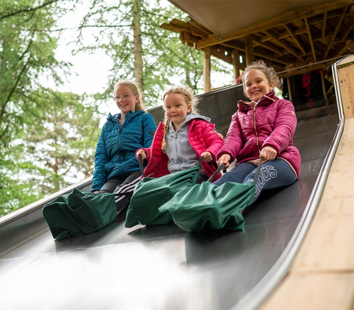 Children playing on a slide at BeWILDerwood